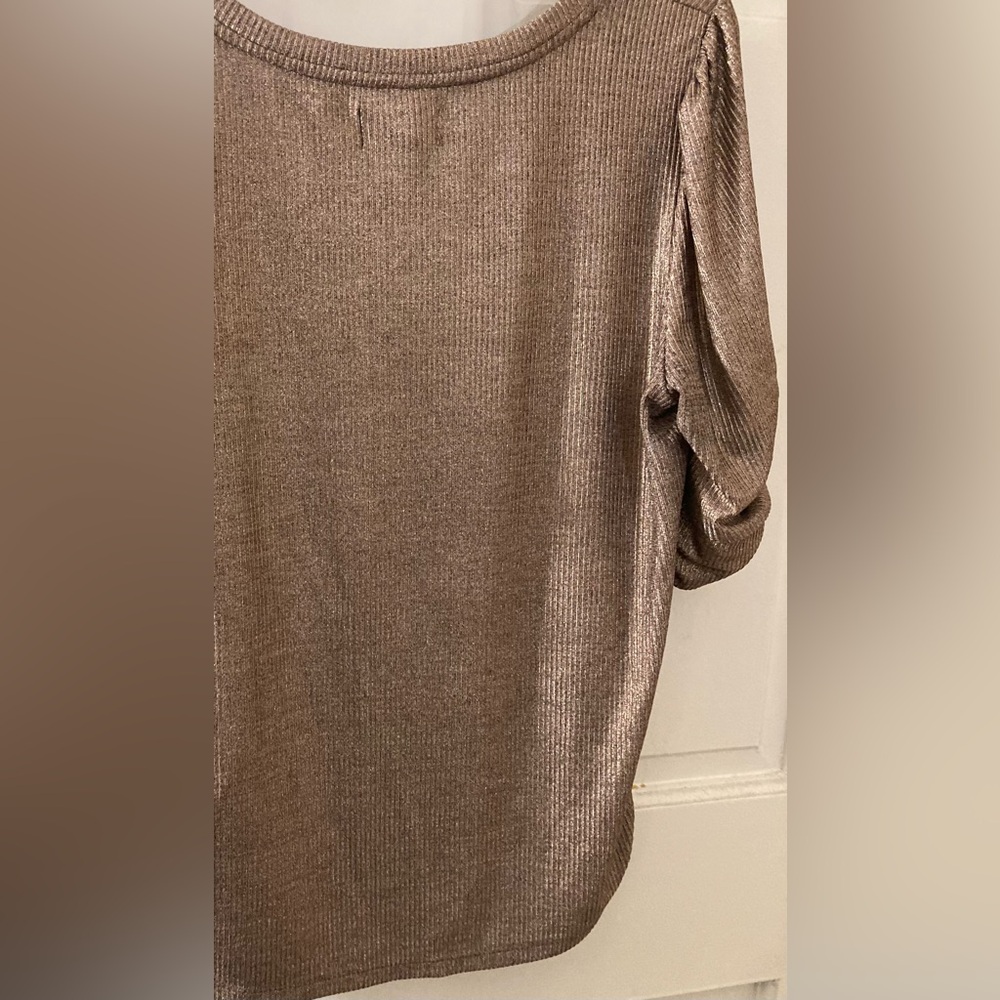 Maeve Anthropologie Metallic Cinnamon Top size Large, NWOT - zero flaws. - Picture 8 of 8